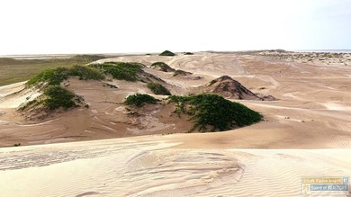 Land In Paradise - Investment Opportunity - Tract 55: Gulf to - photo 5