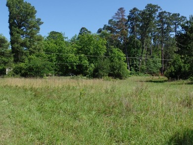 Lake Lot For Sale in Hemphill, Texas