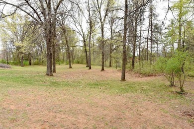 Rare opportunity to own riverfront property with the convenience - photo 32
