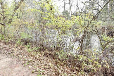 Rare opportunity to own riverfront property with the convenience - photo 33