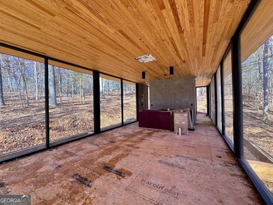 Ellijay, GA Cabin Resort Development on 60 Acres | North Georgia - photo 10