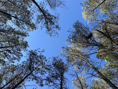 (private lake, pond, creek) Acreage For Sale in Jasper Tennessee