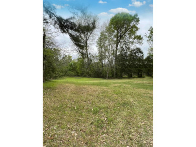 UNRESTRICTED RIVER FRONTAGE... Did you hear that?  We have - Lake Lot Sale Pending in Colmesneil, Texas