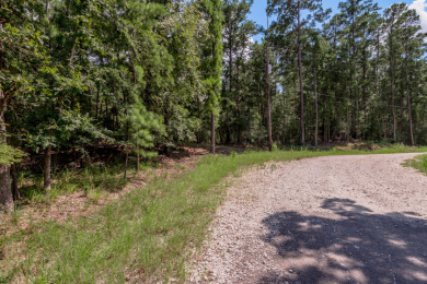 Lake Lot For Sale in Huntsville, Texas