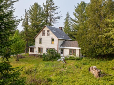 Lake Home For Sale in Long Lake, New York