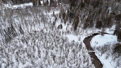 (private lake, pond, creek) Acreage Sale Pending in Reed City Michigan