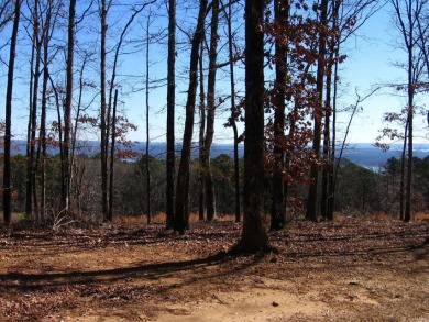 PANORAMIC, HALF- ACRE LAKE VIEW OF GREERS FERRY LAKE and vista - photo 3