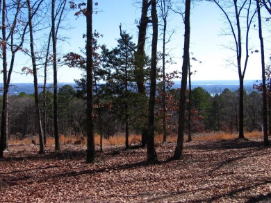 PANORAMIC, HALF- ACRE LAKE VIEW OF GREERS FERRY LAKE and vista - photo 4