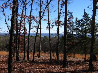 PANORAMIC, HALF- ACRE LAKE VIEW OF GREERS FERRY LAKE and vista - photo 5
