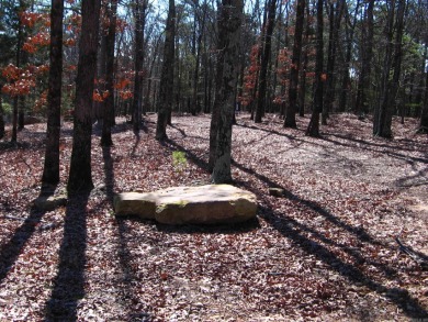 PANORAMIC, HALF- ACRE LAKE VIEW OF GREERS FERRY LAKE and vista - photo 6