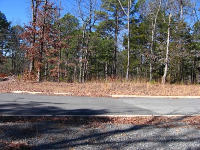 PANORAMIC, HALF- ACRE LAKE VIEW OF GREERS FERRY LAKE and vista - photo 7