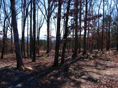 PANORAMIC, HALF- ACRE LAKE VIEW OF GREERS FERRY LAKE and vista - photo 8