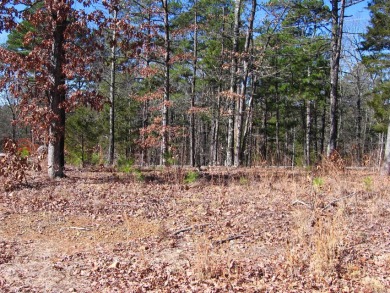 PANORAMIC, HALF- ACRE LAKE VIEW OF GREERS FERRY LAKE and vista - photo 9