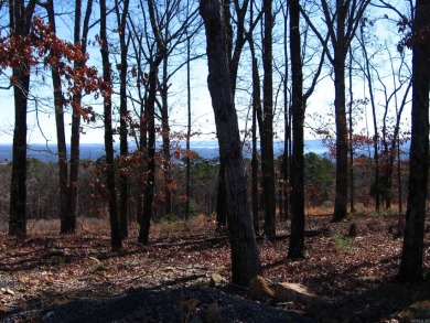 PANORAMIC, HALF- ACRE LAKE VIEW OF GREERS FERRY LAKE and vista - photo 10