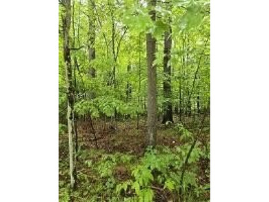 (private lake, pond, creek) Lot For Sale in Jay New York