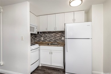 Affordable, move-in ready studio with modern upgrades, ideal for - photo 3