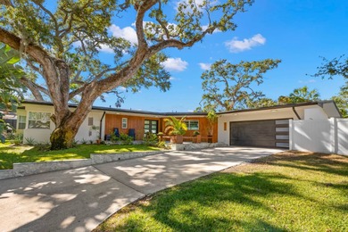 (private lake, pond, creek) Home For Sale in St. Petersburg Florida