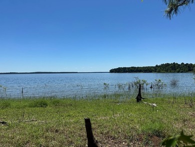 Tract 117 Eagles Landing - Immerse yourself in the joys of - photo 2