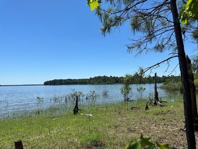 Tract 117 Eagles Landing - Immerse yourself in the joys of - photo 3