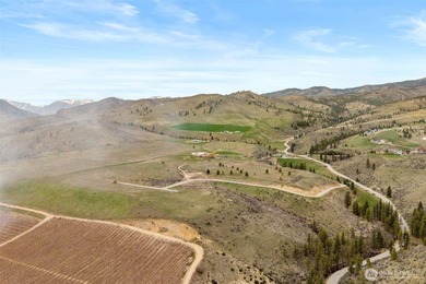 Elevated above the Lake Chelan Valley, 347 Rancho Perri Lane - photo 7
