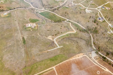 Elevated above the Lake Chelan Valley, 347 Rancho Perri Lane - photo 10