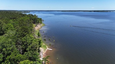Tract 117 Eagles Landing - Immerse yourself in the joys of - photo 10