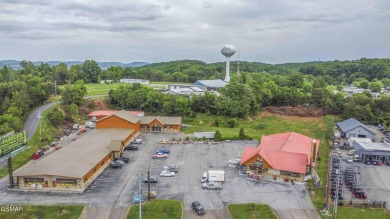 Lake Commercial For Sale in Kodak, Tennessee