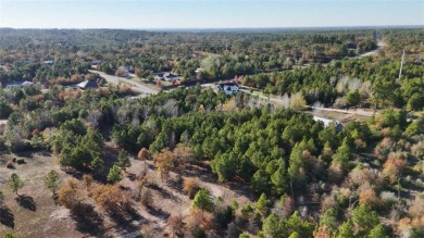 Lake Lot For Sale in Bastrop, Texas