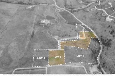 Welcome to 331 Rancho Perri Lane (Lot 2). 9.71 acres of open - photo 4