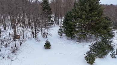 (private lake, pond, creek) Acreage For Sale in Leroy Michigan