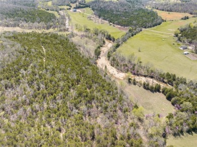 Lake Acreage For Sale in South Lead Hill, Arkansas