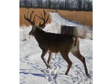 Welcome to Belle River Lodge-an extraordinary sporting and - photo 5
