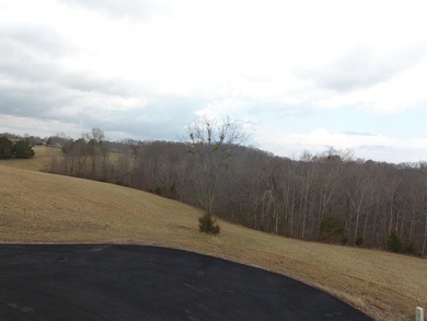 This level 1.1-acre gently sloping lot in the Parks Ridge - photo 7