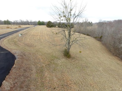 This level 1.1-acre gently sloping lot in the Parks Ridge - photo 9
