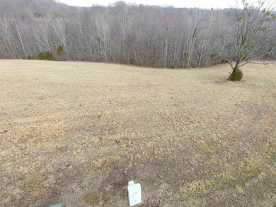 This level 1.1-acre gently sloping lot in the Parks Ridge - photo 11