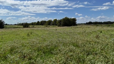 Cleared 20 ac tract ready for your country living dream retreat - photo 27