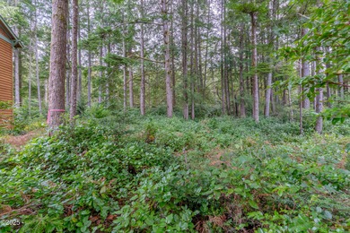 Level lot located in the Award Winning Little Whale Cove - photo 8