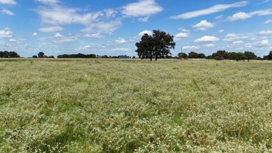 Cleared 20 ac tract ready for your country living dream retreat - photo 26