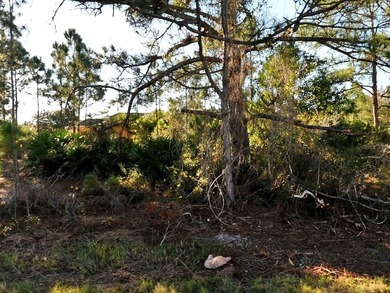 Northport Waterway Lakes and Canals Lot For Sale in North Port Florida