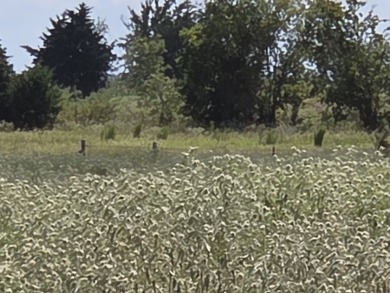 Cleared 20 ac tract ready for your country living dream retreat - photo 32