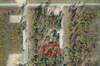Lake Lot For Sale in Dunnellon, Florida
