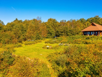 This private year-round Adirondack cabin offers a view and - photo 9