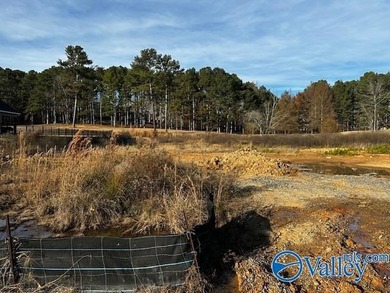 Build your dream home on this vacant, ready-to-build lot located - photo 1