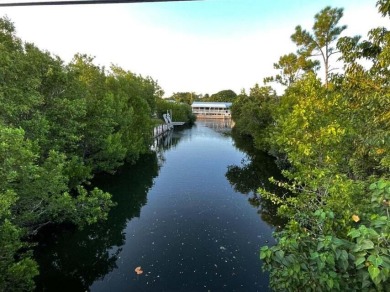 (private lake, pond, creek) Home For Sale in Big Pine Key Florida