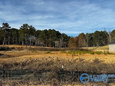 Gorgeous Lot in The Cove of Cherokee Ridge! Vacant and ready to - photo 1