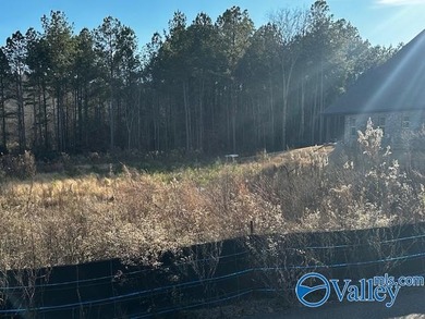 Don't miss this gorgeous cleared lot located in a private gated - photo 1