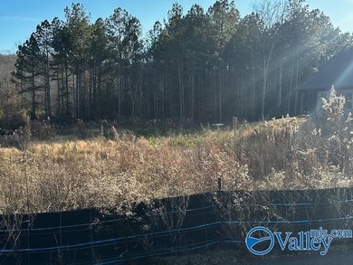 Don't miss this gorgeous cleared lot located in a private gated - photo 2