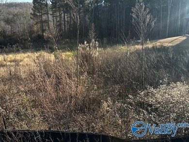 Don't miss this gorgeous cleared lot located in a private gated - photo 3