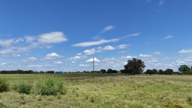 Cleared 20 ac tract ready for your country living dream retreat - photo 9