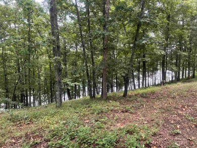 (private lake, pond, creek) Lot For Sale in Heber Springs Arkansas